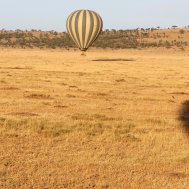 Balloon ride in Tanzania, Serengeti, Bild 12/21