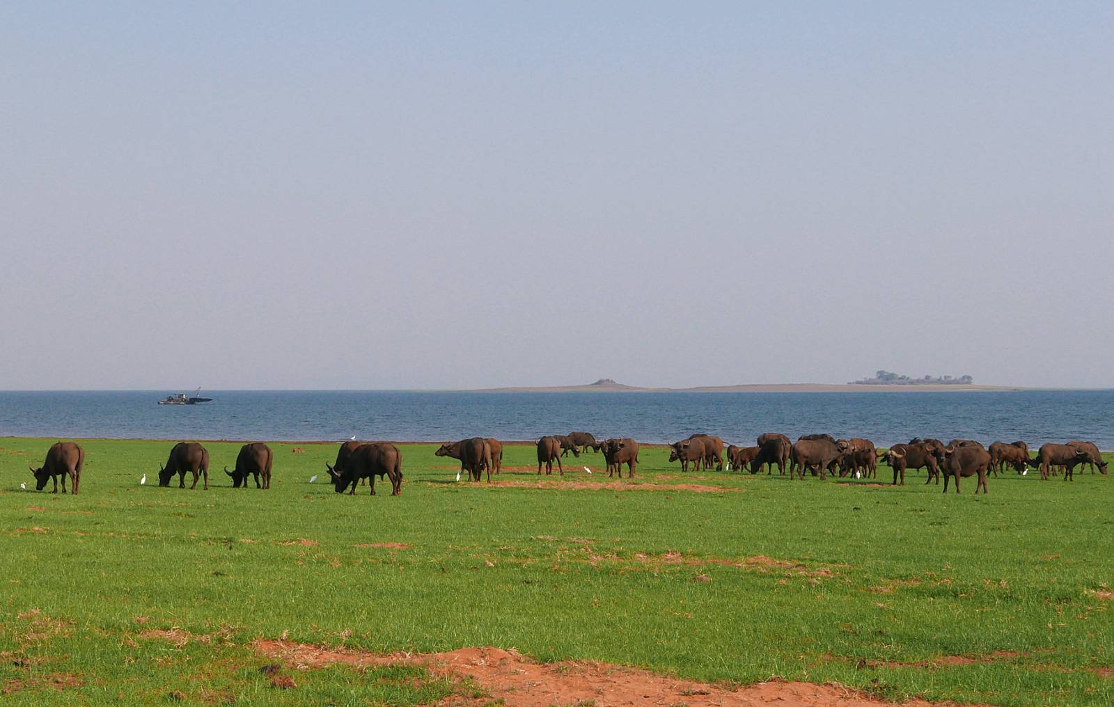 Bumi Hills – where to stay for pilots in Zimbabwe Symbolfoto