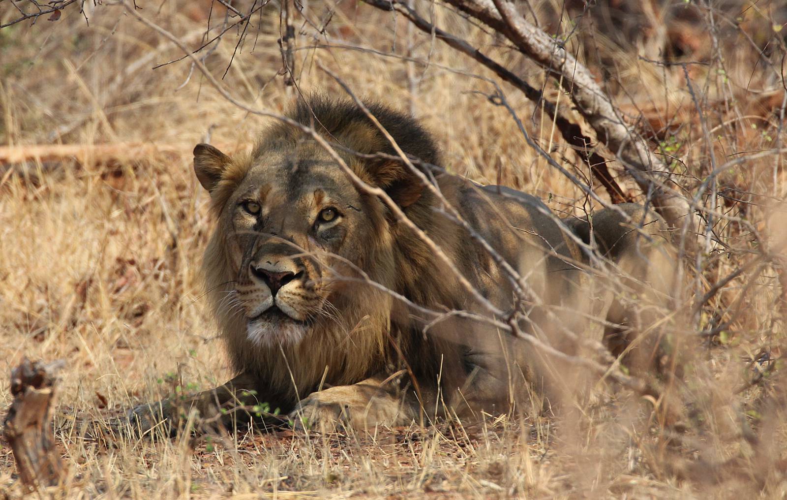 Bumi Hills – where to stay for pilots in Zimbabwe Symbolfoto