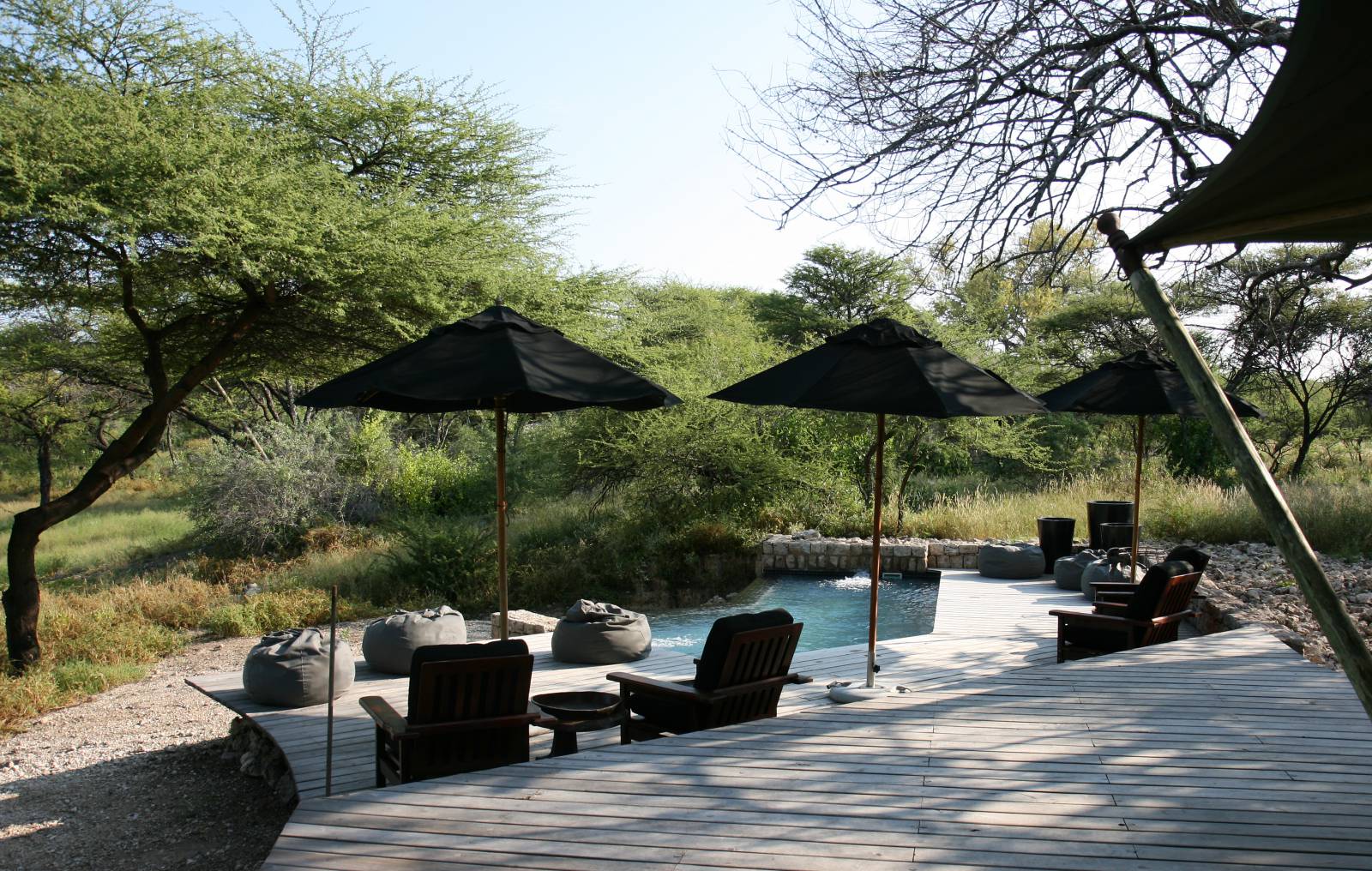 Onguma Tented Camp  – where to stay for pilots near Etosha Symbolfoto