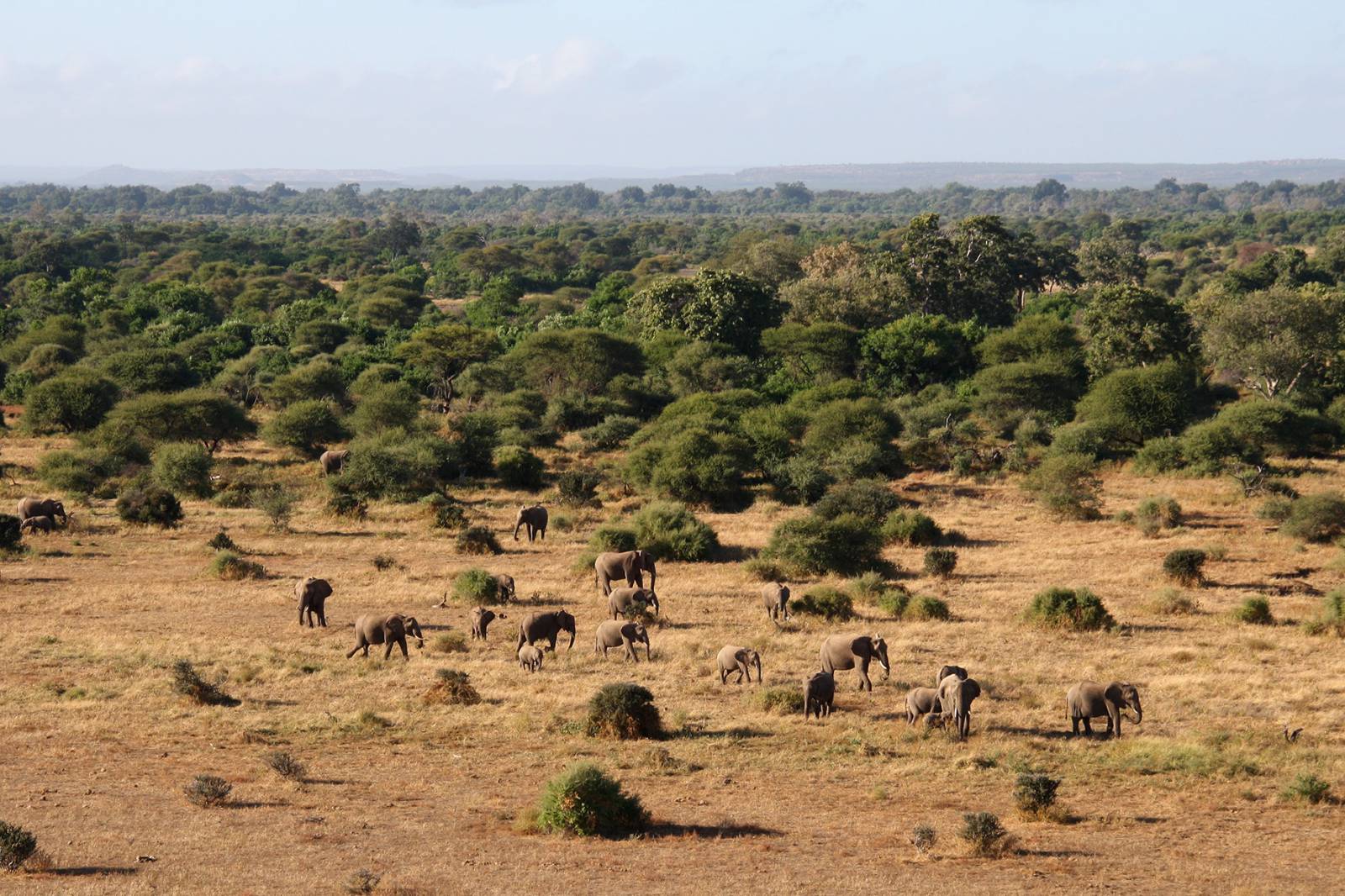 Mashatu Game Reserve - where to stay for pilots in Botswana Symbolfoto