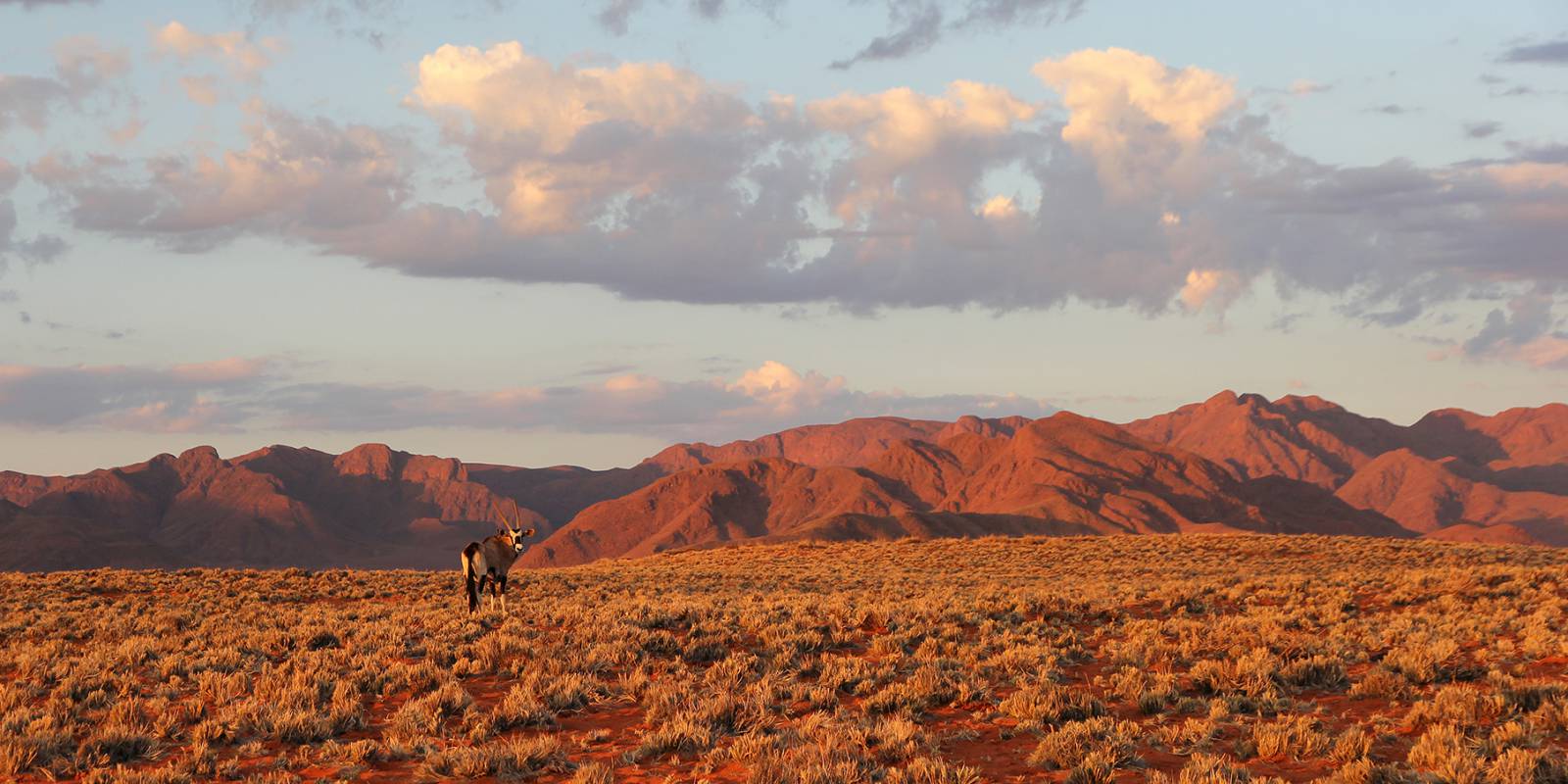 Wolwedans - where to stay for pilots in Namibia Symbolfoto