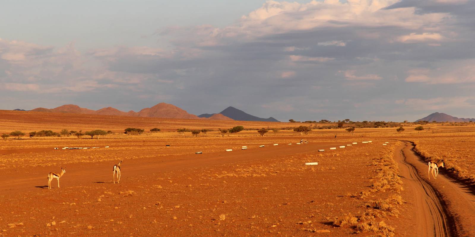 Wolwedans - where to stay for pilots in Namibia Symbolfoto