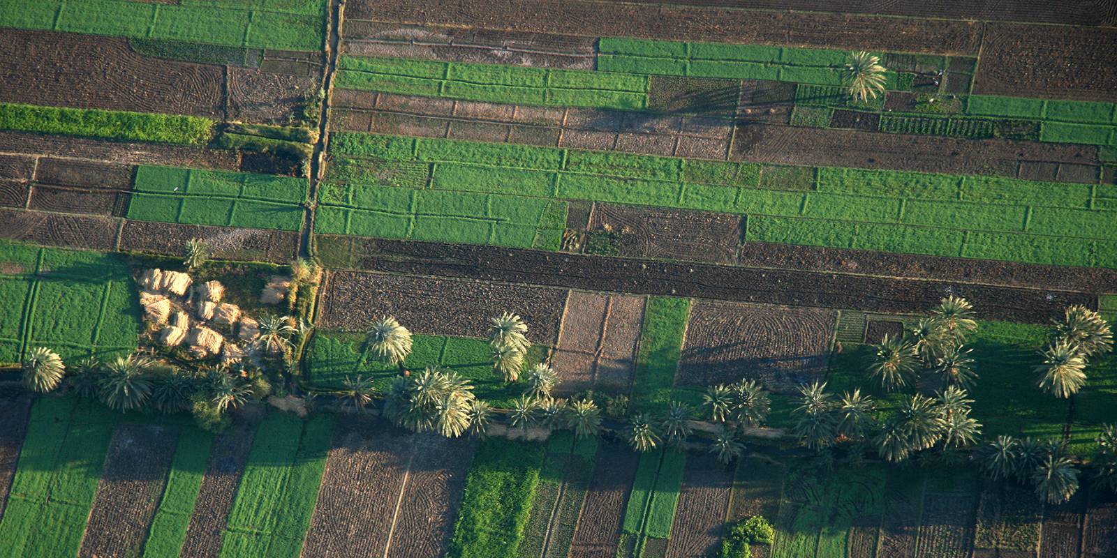 Balloon ride in Egypt, Nile Valley Symbolfoto