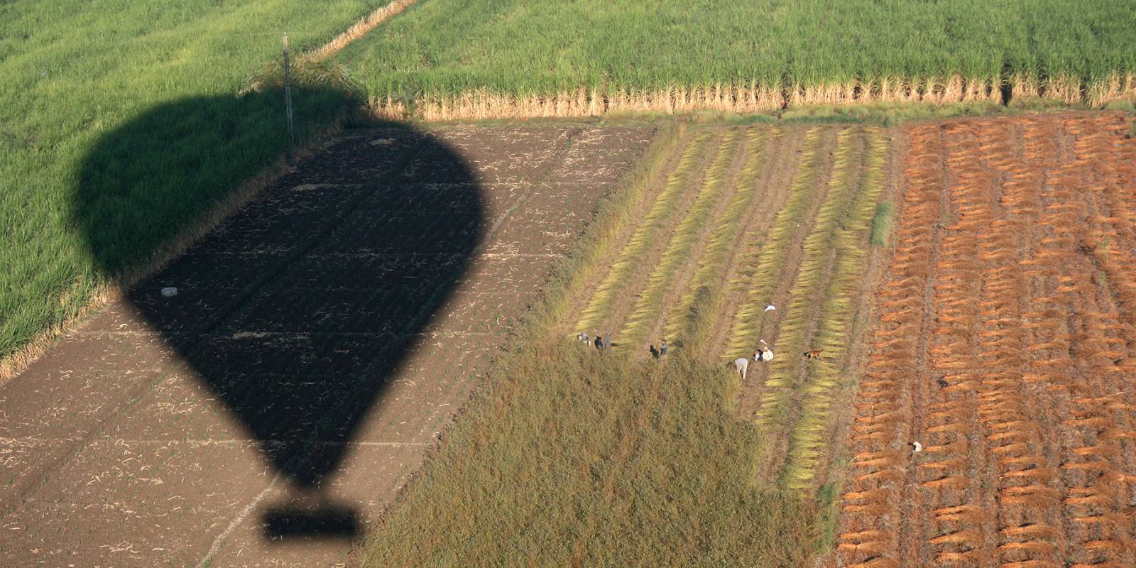 Balloon ride in Egypt, Nile Valley Symbolfoto