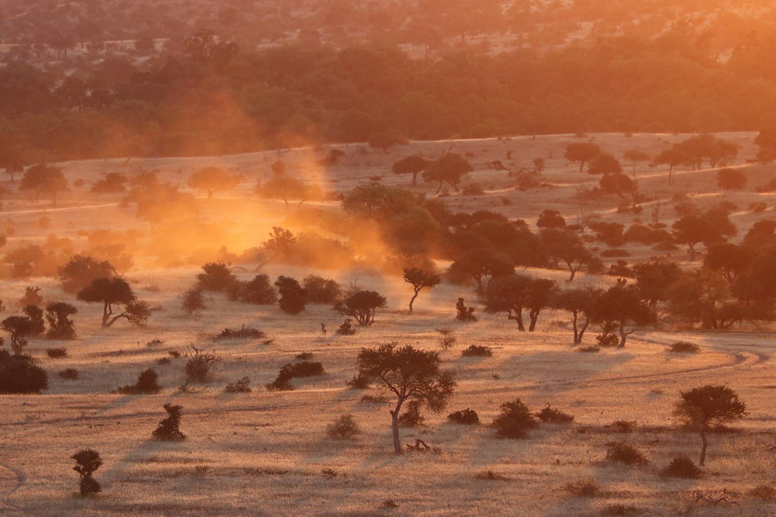 Mashatu Game Reserve - where to stay for pilots in Botswana Symbolfoto