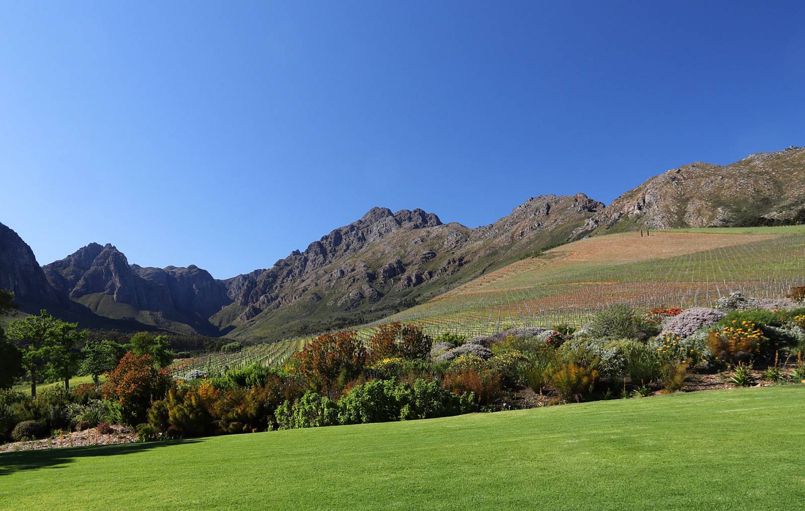Stellenbosch - Wine & Architecture Symbolfoto