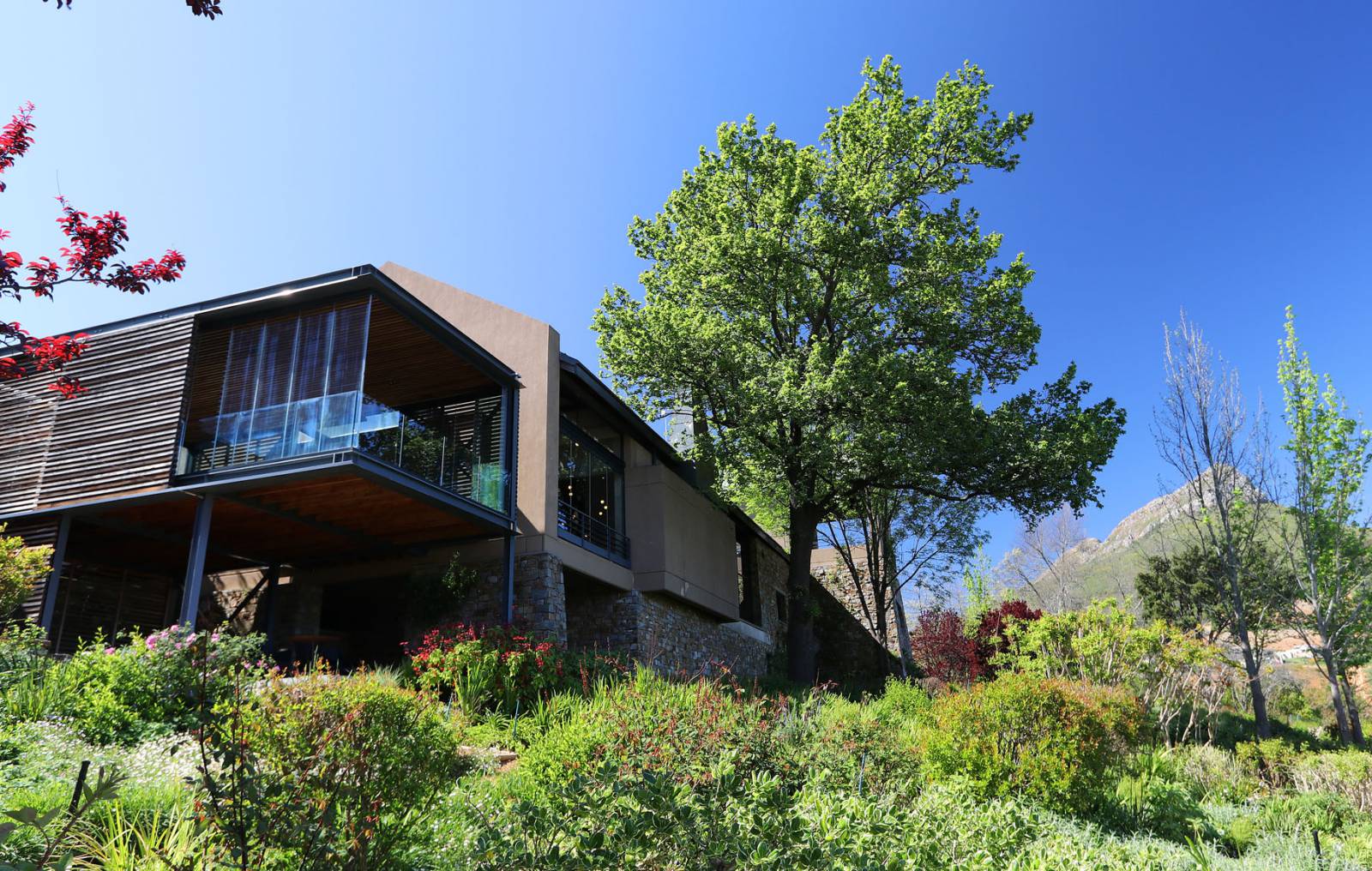 Stellenbosch - Wine & Architecture Symbolfoto