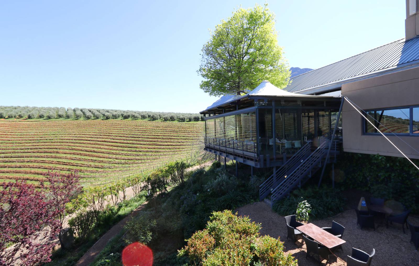 Stellenbosch - Wine & Architecture Symbolfoto