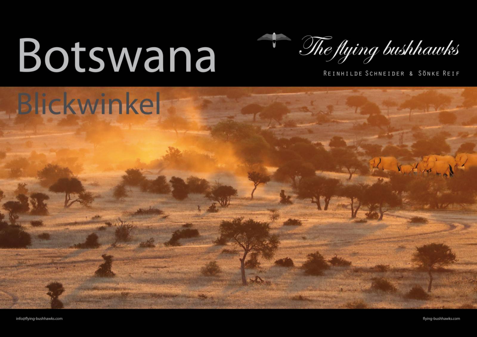 Flying Bushhawks Kalender 2027 Symbolfoto