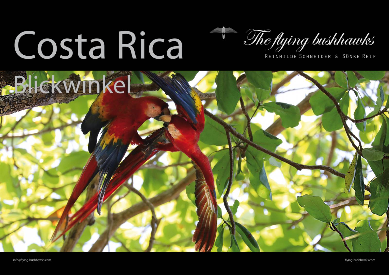Flying Bushhawks Kalender 2027 Symbolfoto