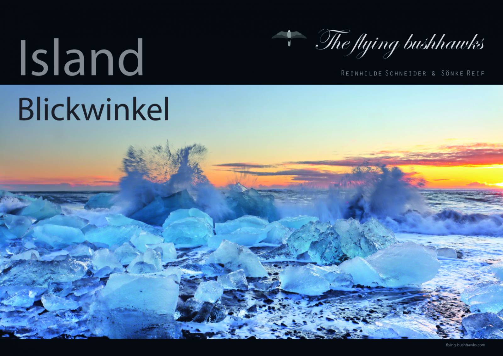 Flying Bushhawks Kalender 2027 Symbolfoto