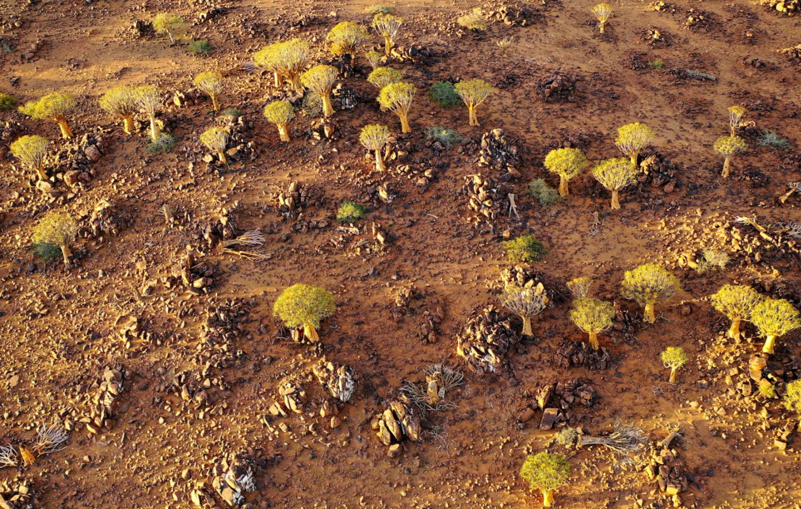 Namibia von Oben Symbolfoto