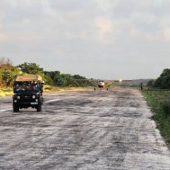 Field inspection at uncontrolled Bush Strips, Bild 6/6