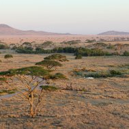 Balloon ride in Tanzania, Serengeti, Bild 8/21