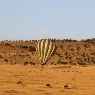 Balloon ride in Tanzania, Serengeti, Bild 13/21