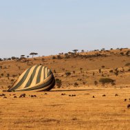 Balloon ride in Tanzania, Serengeti, Bild 14/21