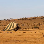 Balloon ride in Tanzania, Serengeti, Bild 14/21