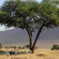 Balloon ride in Tanzania, Serengeti, Bild 21/21