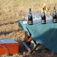 Balloon ride in Tanzania, Serengeti, Bild 19/21