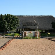 Mashatu Game Reserve - where to stay for pilots in Botswana, Bild 2/17