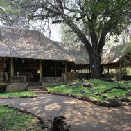 Mashatu Game Reserve - where to stay for pilots in Botswana, Bild 4/17