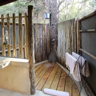 Mashatu Game Reserve - where to stay for pilots in Botswana, Bild 8/17