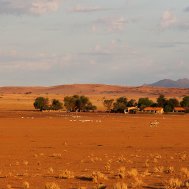 Wolwedans - where to stay for pilots in Namibia, Bild 4/20