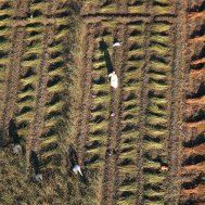 Balloon ride in Egypt, Nile Valley, Bild 13/16