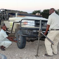 Mashatu Game Reserve - where to stay for pilots in Botswana, Bild 15/17