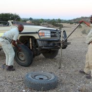 Mashatu Game Reserve - where to stay for pilots in Botswana, Bild 14/17