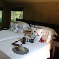 Mashatu Game Reserve - where to stay for pilots in Botswana, Bild 6/17