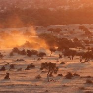 Mashatu Game Reserve - where to stay for pilots in Botswana, Bild 17/17