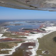 Kwando Nxai Pan Camp - where to stay for pilots in Botswana , Bild 23/26