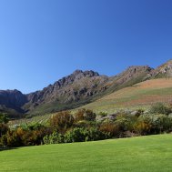 Stellenbosch - Wine & Architecture, Bild 3/21