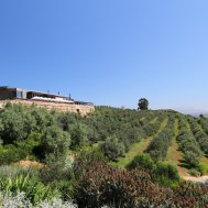 Stellenbosch - Wine & Architecture, Bild 16/21