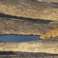 Dundi Lodge - where to stay for pilots in South Africa, Bild 10/11