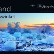 Flying Bushhawks Kalender 2026, Bild 6/6