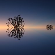 Natur inspiriert zu Fotokunst, Bild 8/13