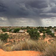 The Kgalagadi Transforntier National Park, Bild 2/3