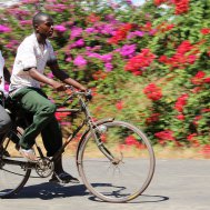 Stopover at Lake Malawi  - Club Makokola, Bild 11/15