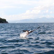 Stopover at Lake Malawi  - Club Makokola, Bild 12/15