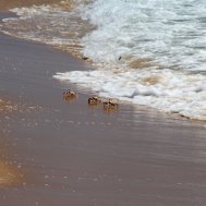 Mosambique - Bazaruto Island, Bild 13/18